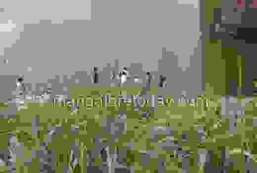 Maravoor accident